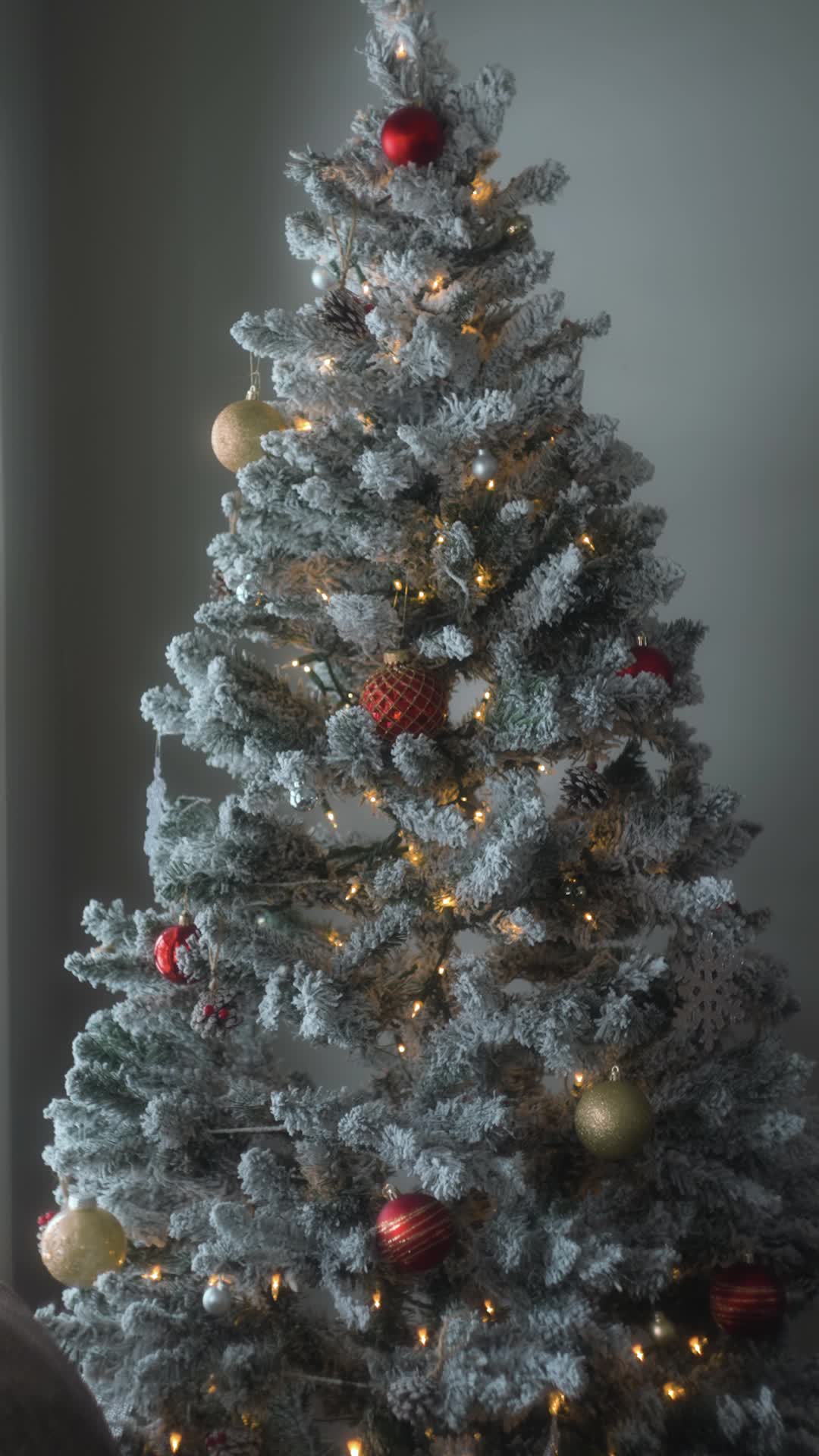 Episode 2 - The Christmas Twin Miracle